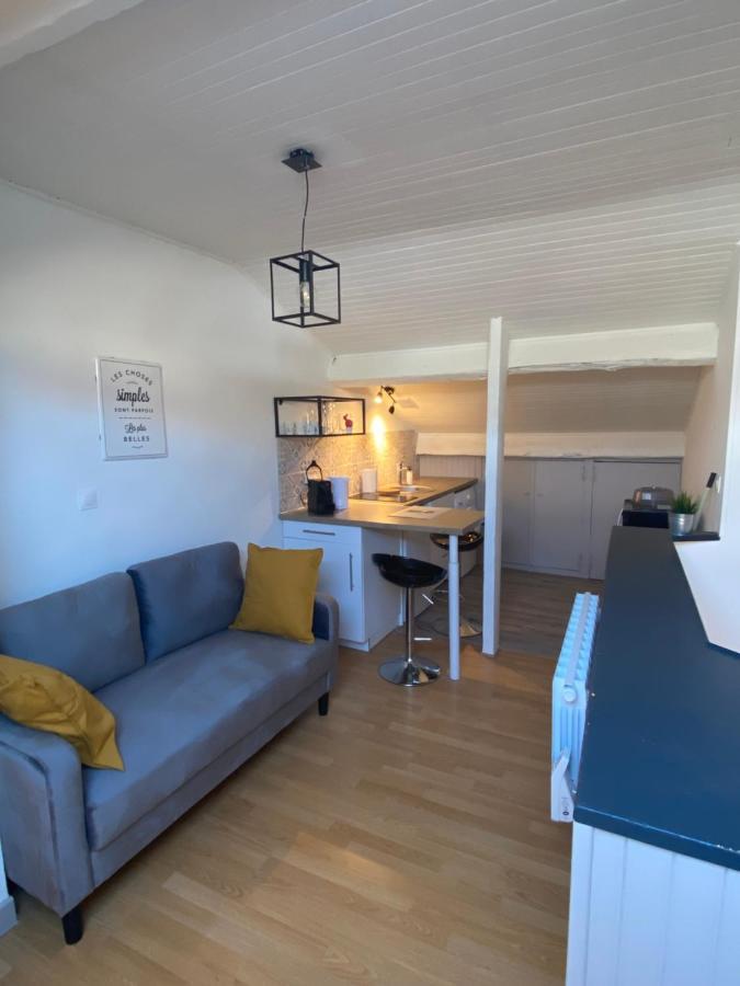 Les Cosy De Nancy - Le Nid Douillet - 4* Apartman Kültér fotó