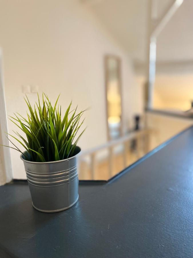 Les Cosy De Nancy - Le Nid Douillet - 4* Apartman Kültér fotó